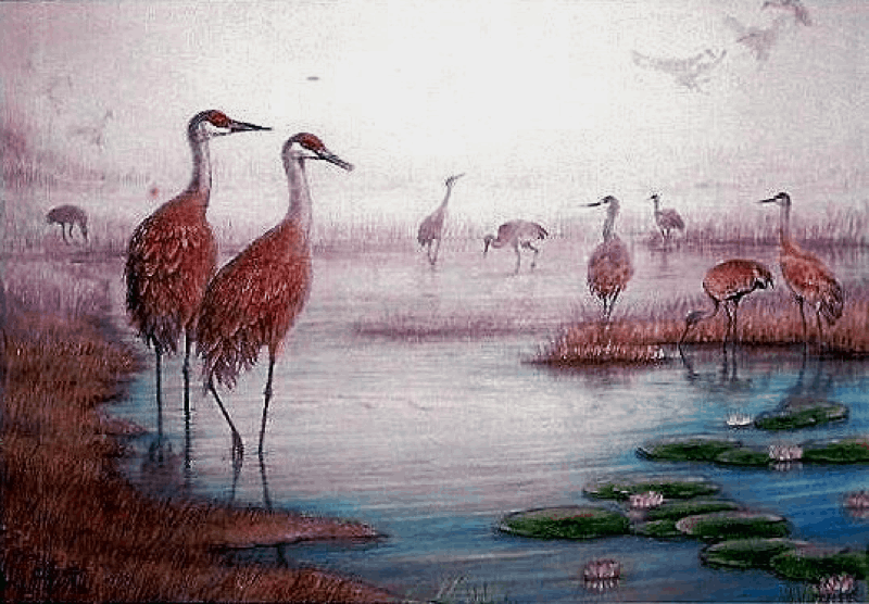 Sandhills in a Canal